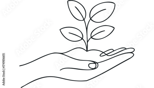 Hand gently holds a growing plant seedling sprout