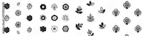 Hand drawn botanical icons and simple nature elements in black and white style