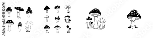 Hand drawn black and white mushroom icons and clusters in line art style