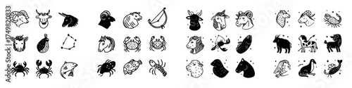 Set of Twelve Zodiac Constellation Icons in Rough Hand Drawn Style
