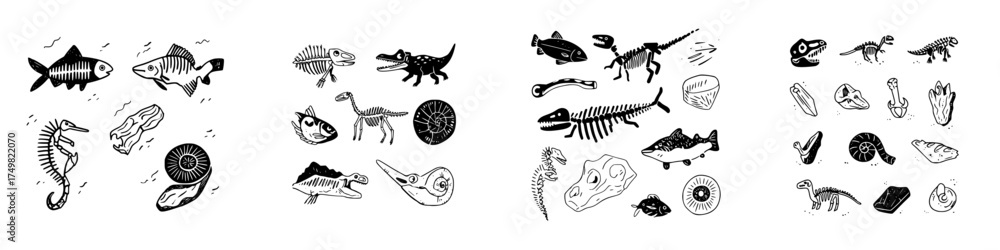 Fototapeta premium Assortment of prehistoric fossils and skeletal remains in monochrome style
