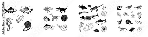 Assortment of prehistoric fossils and skeletal remains in monochrome style