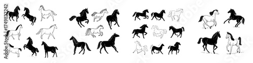 Collection of stylized horse silhouettes and outlines in various poses