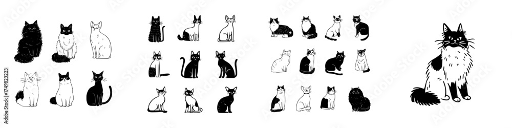 Fototapeta premium Various domestic cats in black and white sketch style drawings
