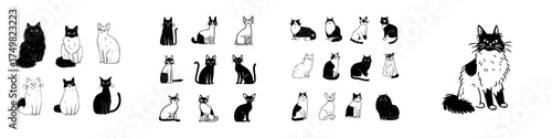 Various domestic cats in black and white sketch style drawings