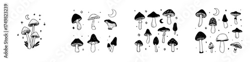 Hand drawn mystical mushrooms with celestial elements assortment