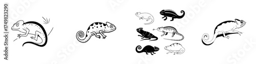 Collection of stylized chameleon reptiles in black and white drawing styles