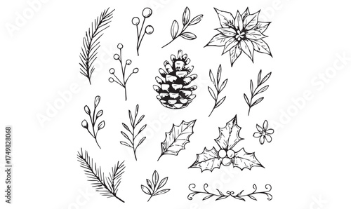 Intricate Winter Botanical Doodles, Pine Cones Holly Leaves Mistletoe and Frosty Florals Artistic Sketch Vector Design Collection