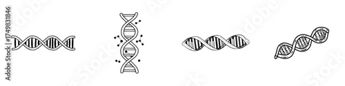 Set of four hand drawn deoxyribonucleic acid helix icons in black and white style