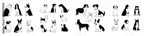 Collection of various dog breeds sitting and standing in black and white outline style