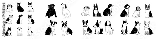 Collection of various dog breeds sitting in simple black and white outline style