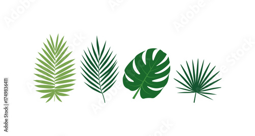 Collection of tropical leaf designs on white background