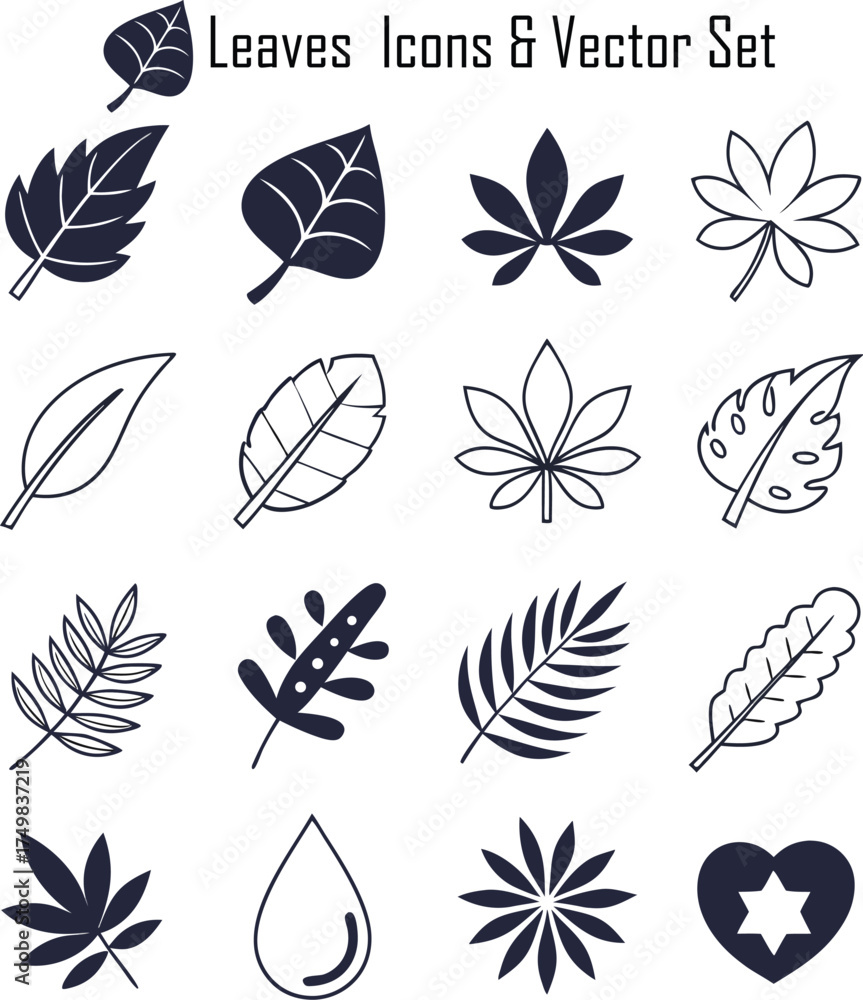 Fototapeta premium Leaf Icons & Vector Set