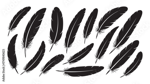 Collection of black silhouettes of natural bird or crow feathers