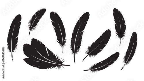 Collection of black silhouettes of natural bird or crow feathers