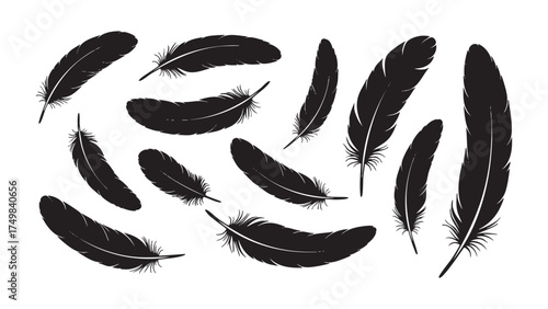 Collection of black silhouettes of natural bird or crow feathers