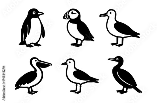 Silhouette collection of various bird species in minimalist style