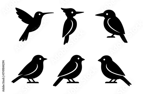 Set of bird silhouettes: simple black and white designs featuring various bird species