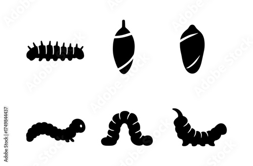 Caterpillar and chrysalis silhouettes: metamorphosis stages