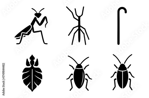 Set of insect silhouettes and walking stick icon on white background