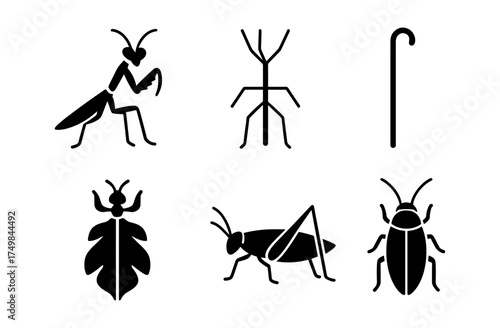 Insect silhouettes: praying mantis, stick bug, cane, beetle, grasshopper, cockroach
