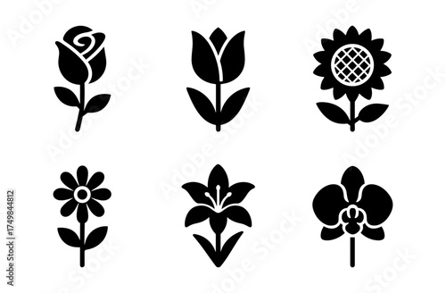 Stylish floral silhouettes of iconic flowers for design projects