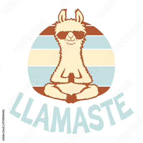 Llama Meditating Yoga Llamaste Sunglasses Retro Animal Pun
