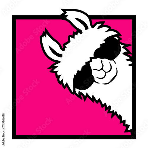 Llama Cool Sunglasses Pink Peeking Square Animal Funny
