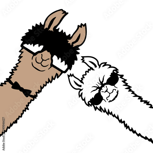 Cool Llamas Wearing Sunglasses Funny Animal Friends Black White
