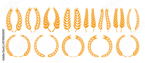 Set of wheat silhouette. Farm Wheat Ears icon vector illustration.