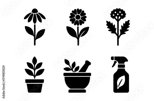 Herbal remedies icons: silhouettes of medicinal plants and tools