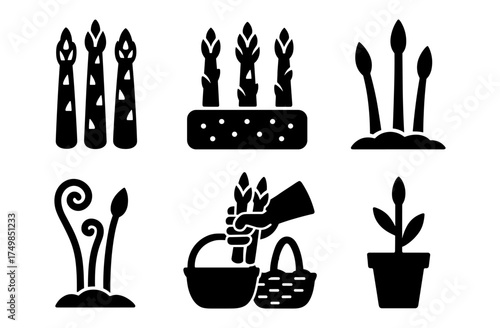 Set of asparagus icons: silhouette gardening and harvesting symbols