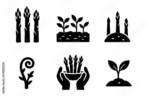Minimalist black and white icons of asparagus and plants in various growth stages
