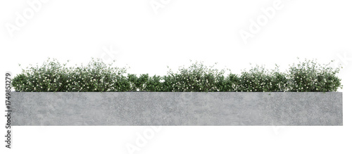 grass bush in plant pot on white background