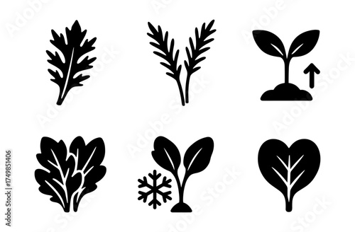 Black silhouette of various plants and leaves with growth indicators