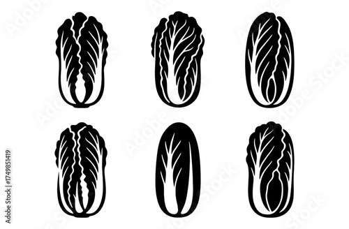Silhouette collection of napa cabbage designs in black and white