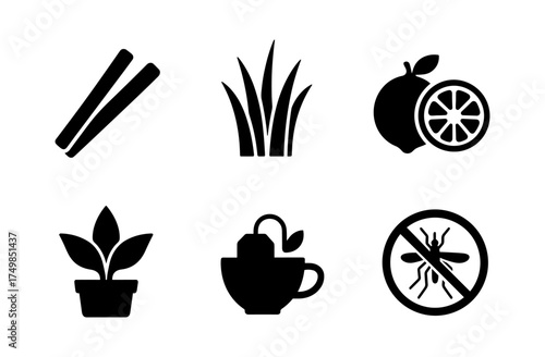 Herb and citrus icons for natural mosquito repellents in silhouette style