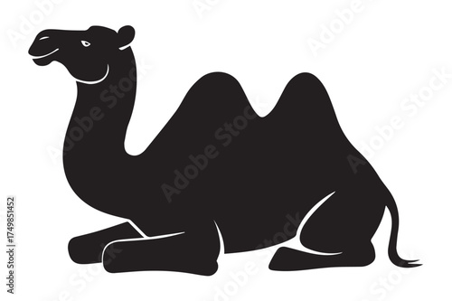 A dark camel resting in a relaxed pose a striking silhouette