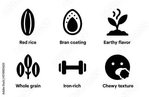 Nutritional benefits of red rice icons with health and fitness symbols