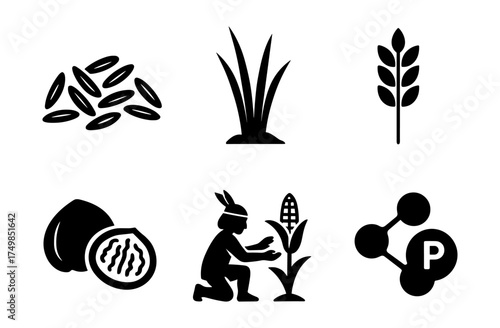 Agricultural symbols: rice, wheat, grass, cocoa, indigenous farmer, corn, phosphate