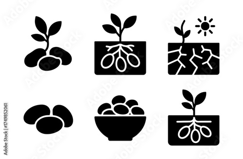 Growth and harvest icons: plant stages and seed development in minimalist style