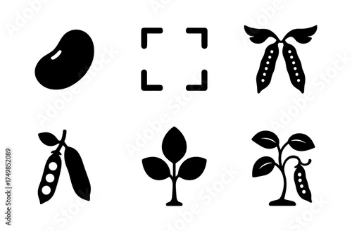Silhouette icon set of beans and pea plants in various stages of growth