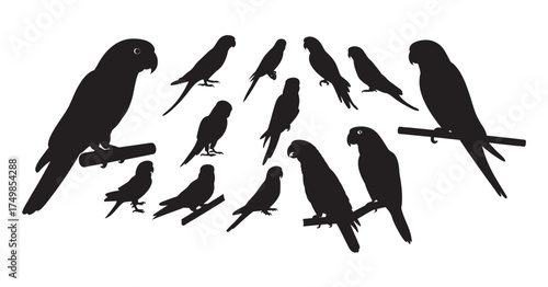 Exotic Parrot and Pet Bird Silhouettes: Tropical Wildlife, Aviary, and Perching Vector Icons