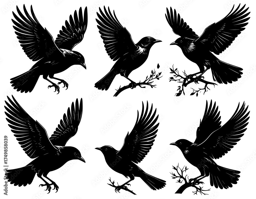 Obraz premium Illustration set of birds silhouette 