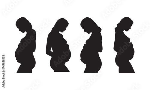 Pregnant Woman Silhouette Collection Stages of Pregnancy and Fetal Development