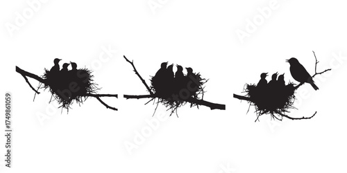 Silhouette illustration of birds in nests representing family and nature