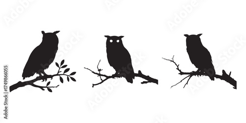 Three Owl Silhouettes Perched on Branches Against White Background Art