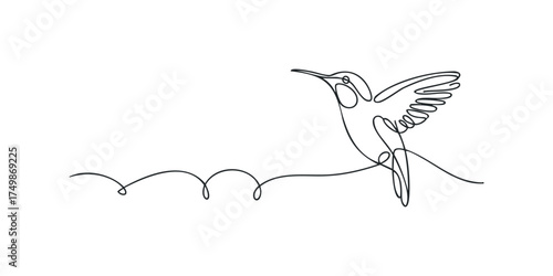 Continuous line drawing of a hummingbird in flight