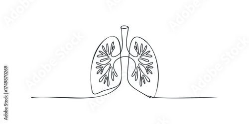 Line art of human lungs with pulmonary branches
