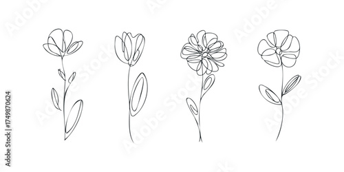 Four abstract line drawing flowers on white background